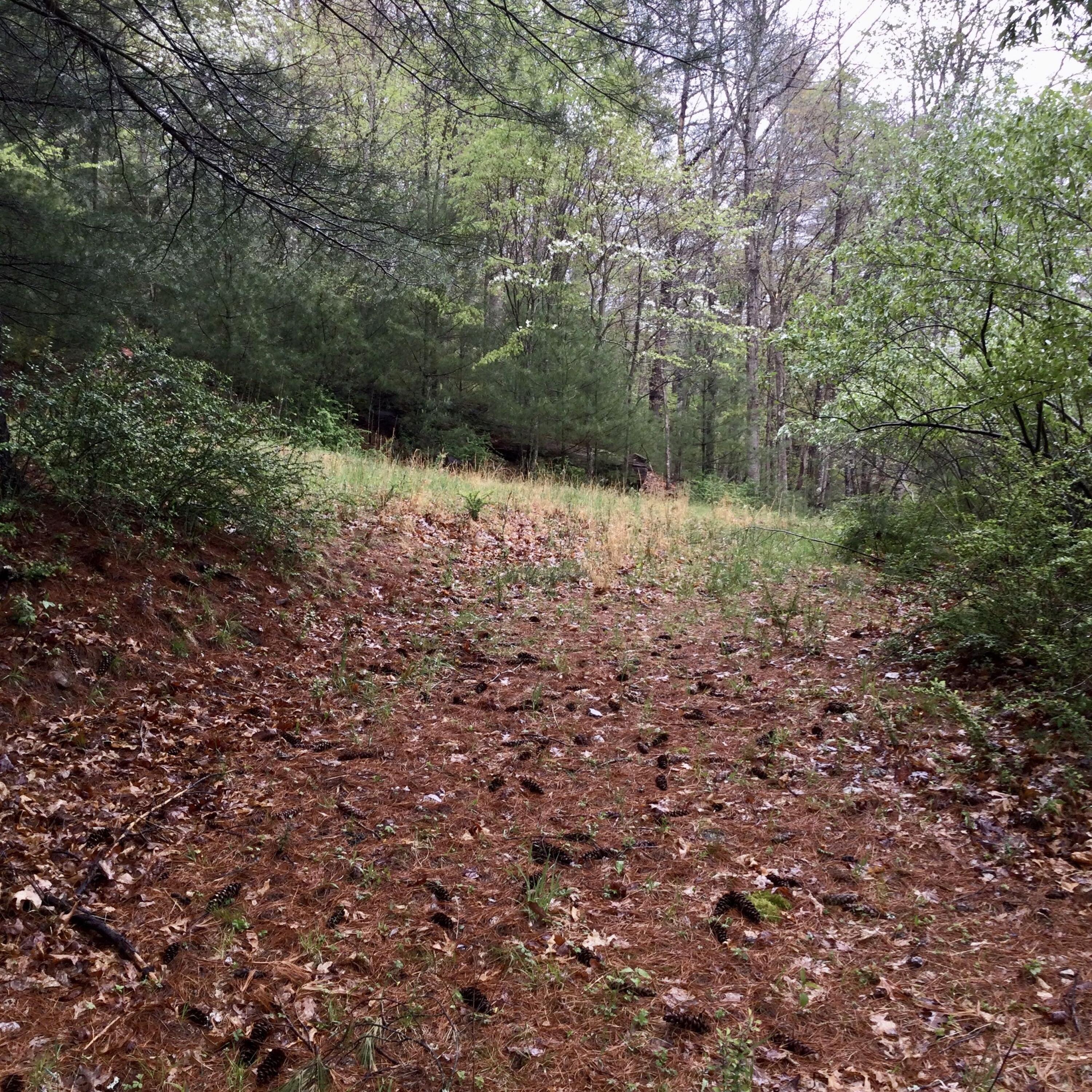 12949 Cass Road Cass, WV 24927 - Photo 5 of 22 Gallery Image 5