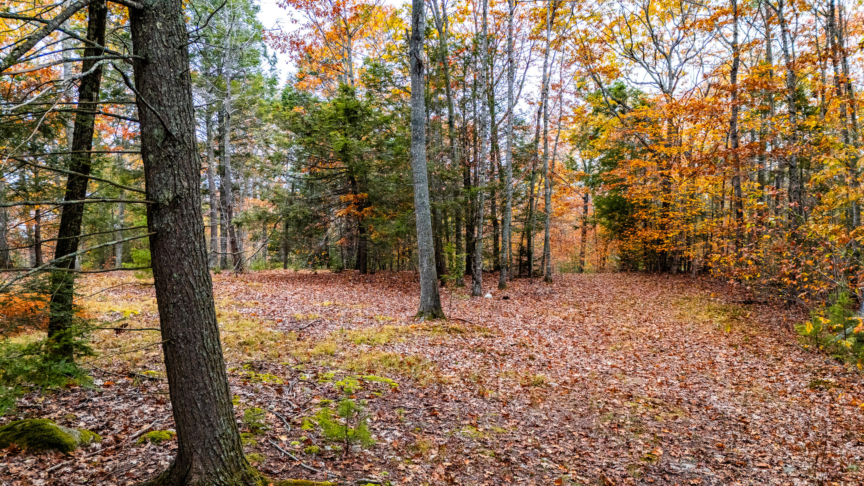Lot#4 Bay View Trail Edgecomb, ME 04556 - Photo 18 of 48