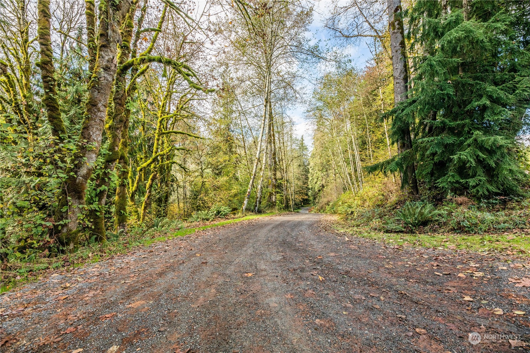 19610 Jordan Road Arlington, WA 98223 - Photo 1 of 5 a view of dirt field with trees in the background