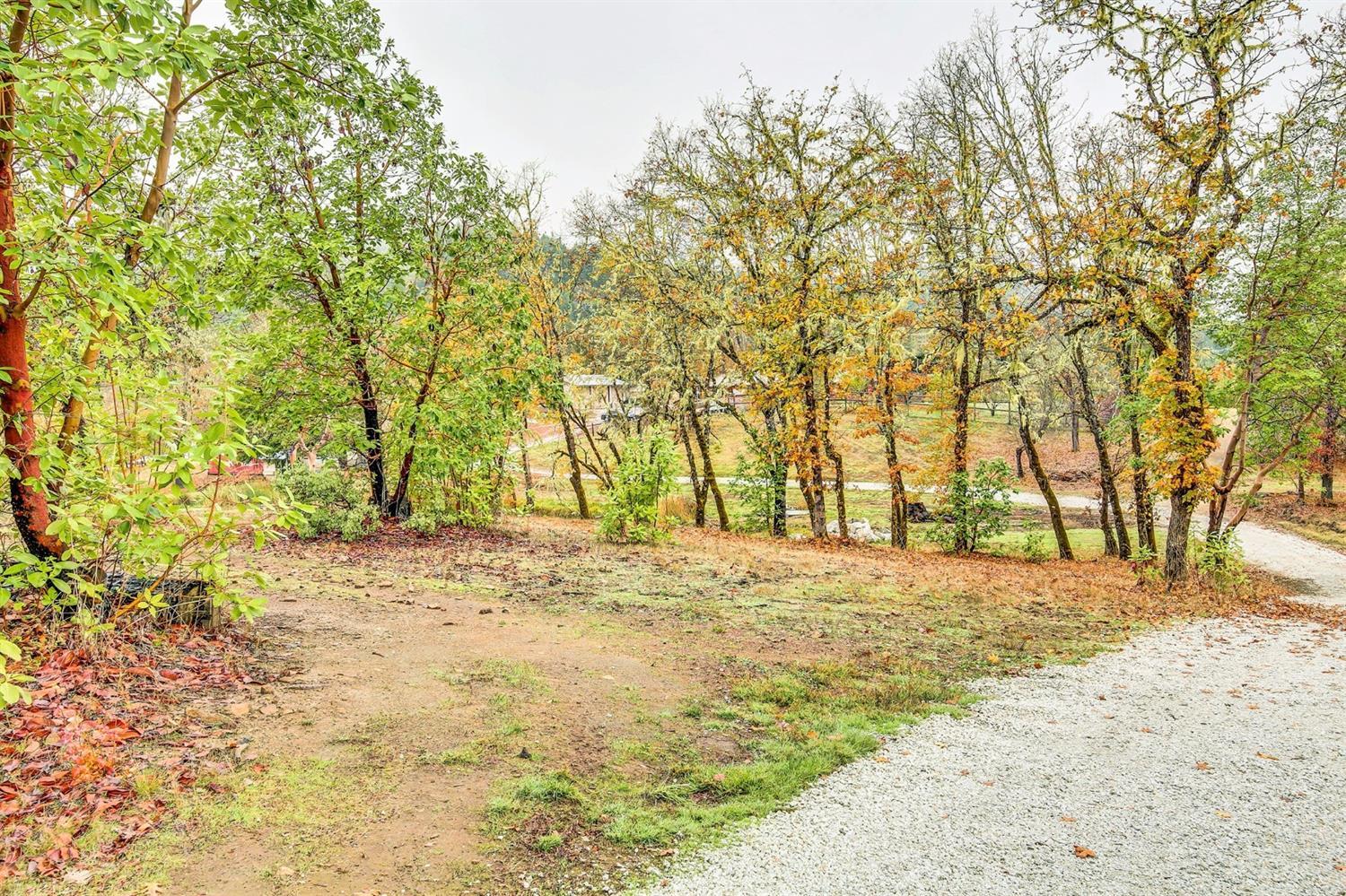 2655 Robertson Bridge Road Grants Pass, OR 97526 - Photo 9 of 31 Additional Photo