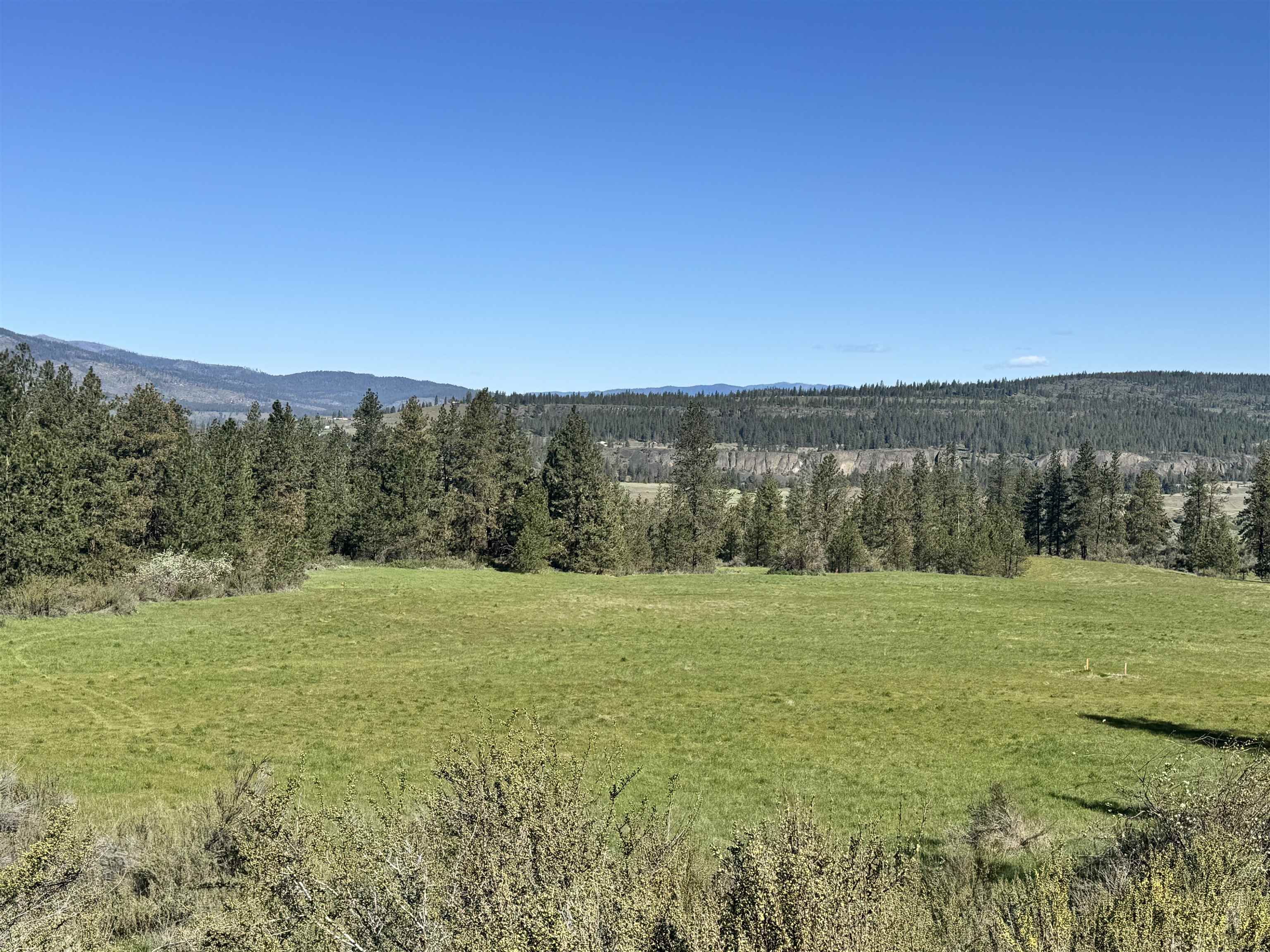 31555 Hume Road Davenport, WA 99122 - Photo 11 of 19