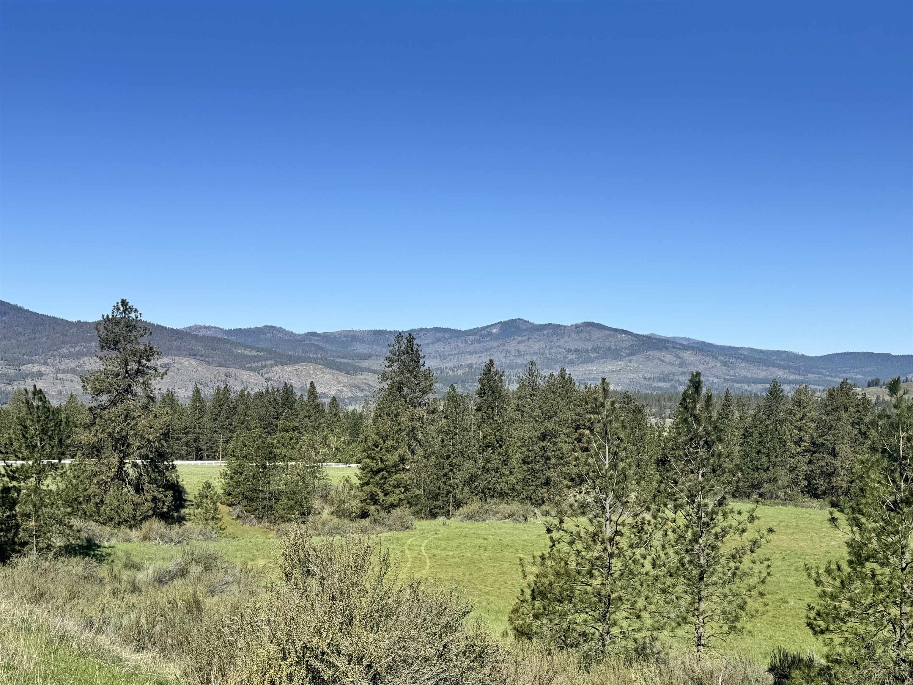 31555 Hume Road Davenport, WA 99122 - Photo 12 of 19