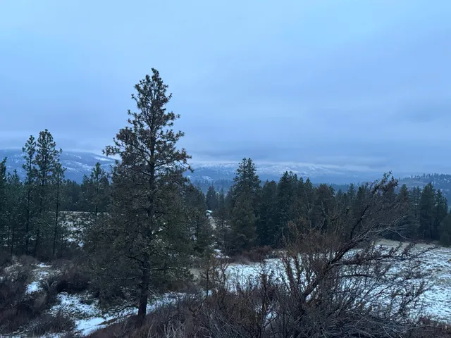 $225,000 | 31555 Hume Road, Davenport, WA 99122