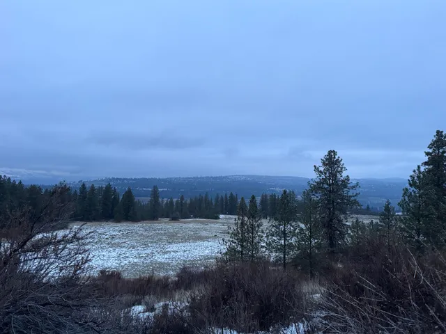 $225,000 | 31555 Hume Road, Davenport, WA 99122