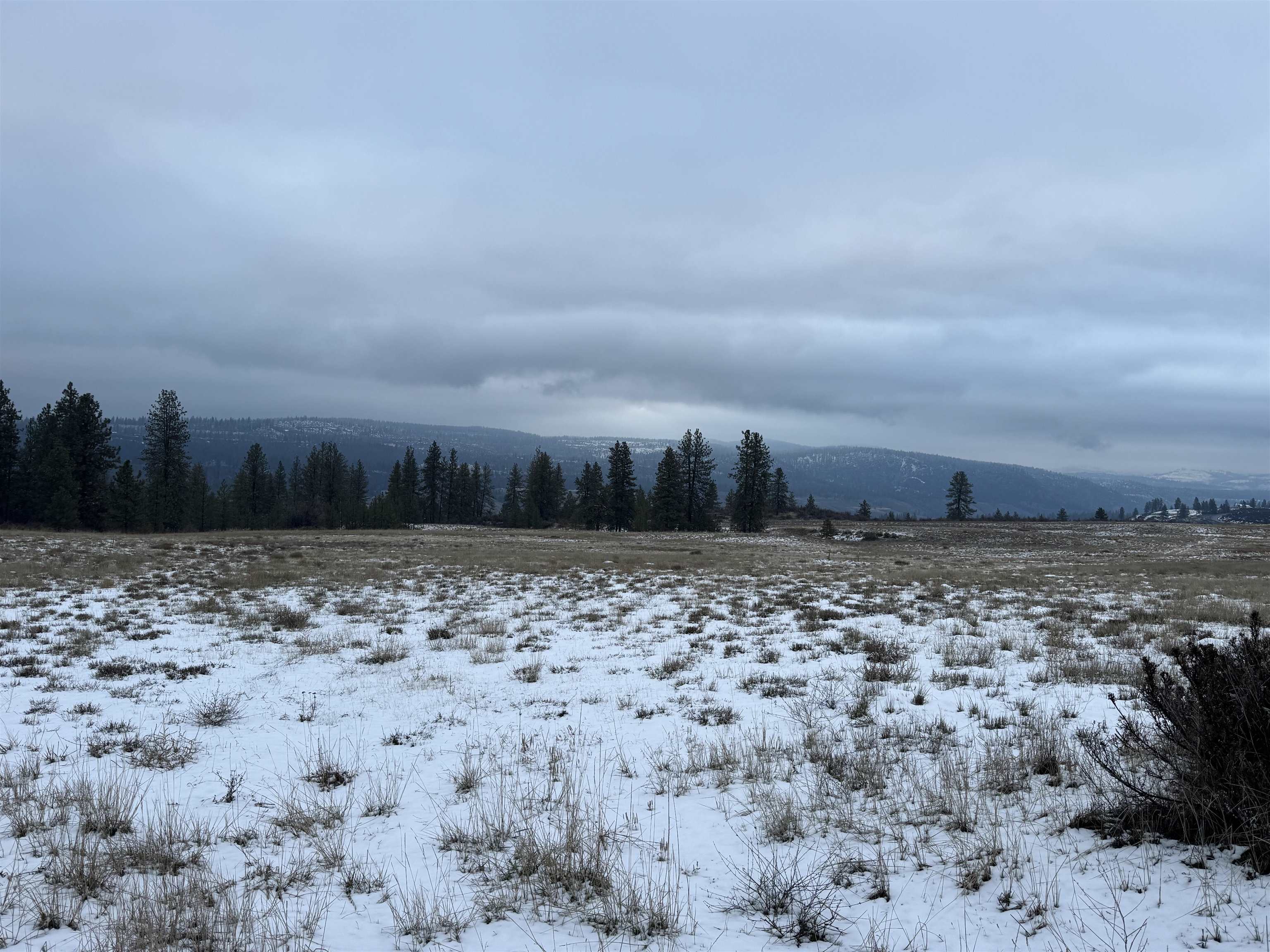 31555 Hume Road Davenport, WA 99122 - Photo 15 of 26