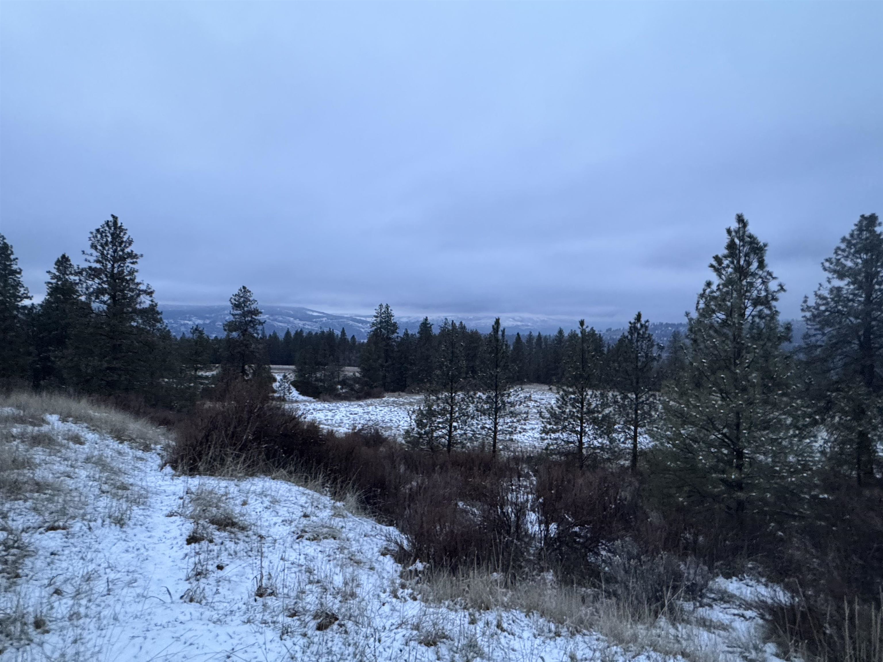 31555 Hume Road Davenport, WA 99122 - Photo 15 of 19