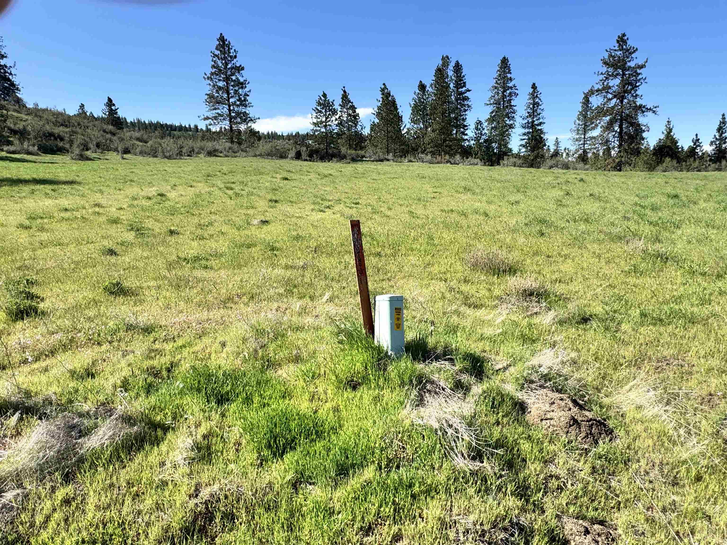 31555 Hume Road Davenport, WA 99122 - Photo 16 of 19