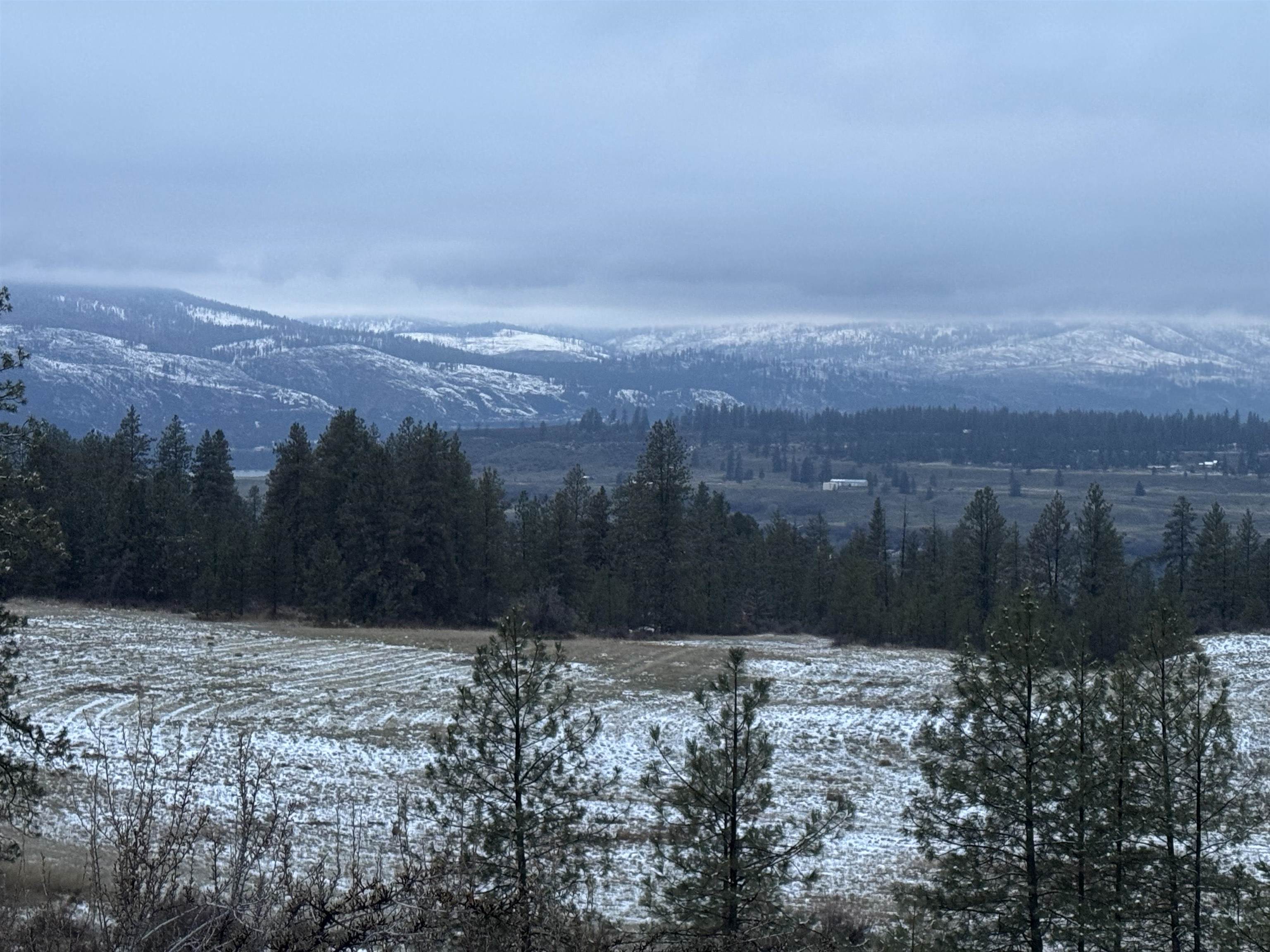 31555 Hume Road Davenport, WA 99122 - Photo 17 of 19