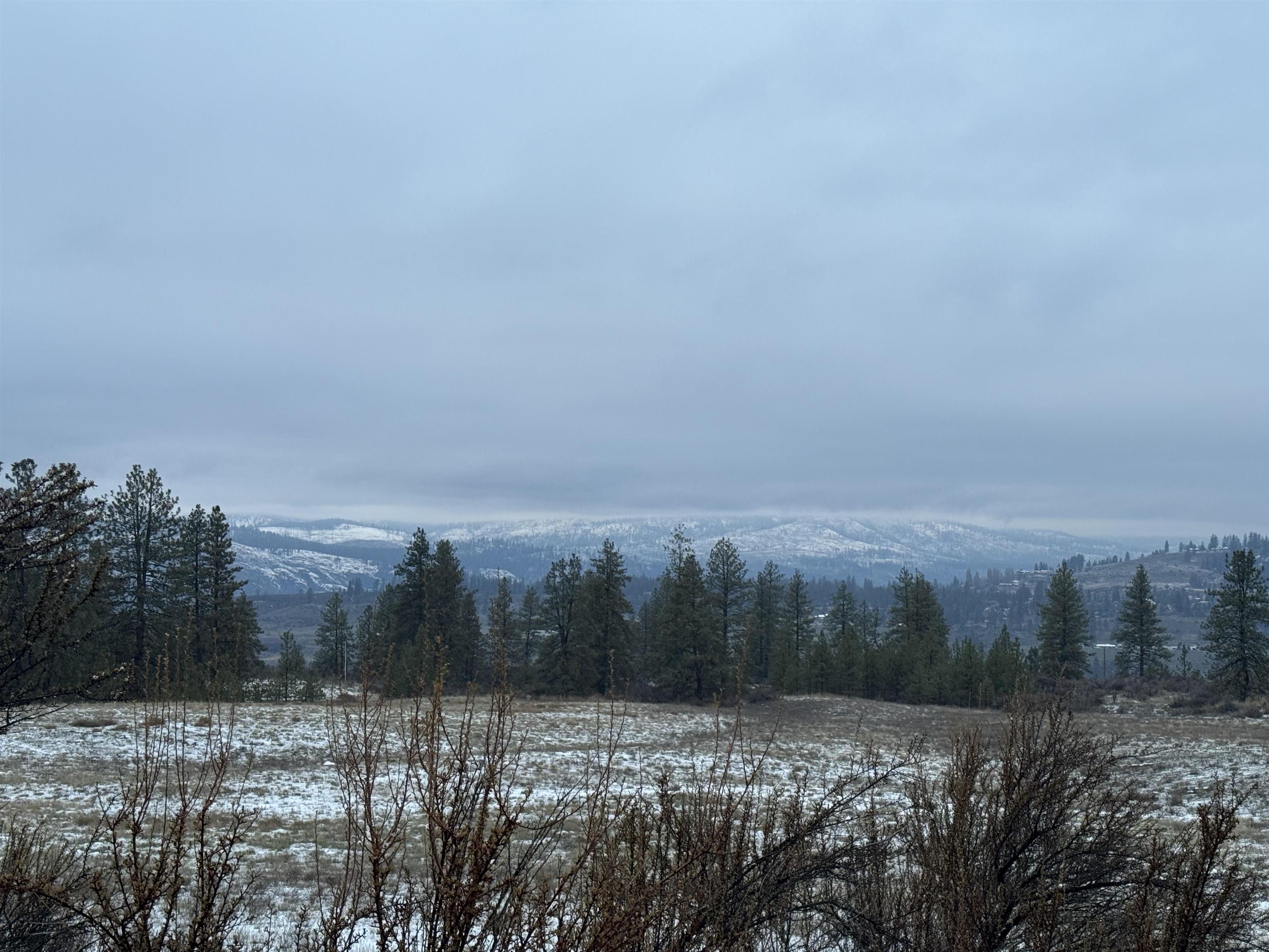 31555 Hume Road Davenport, WA 99122 - Photo 18 of 26