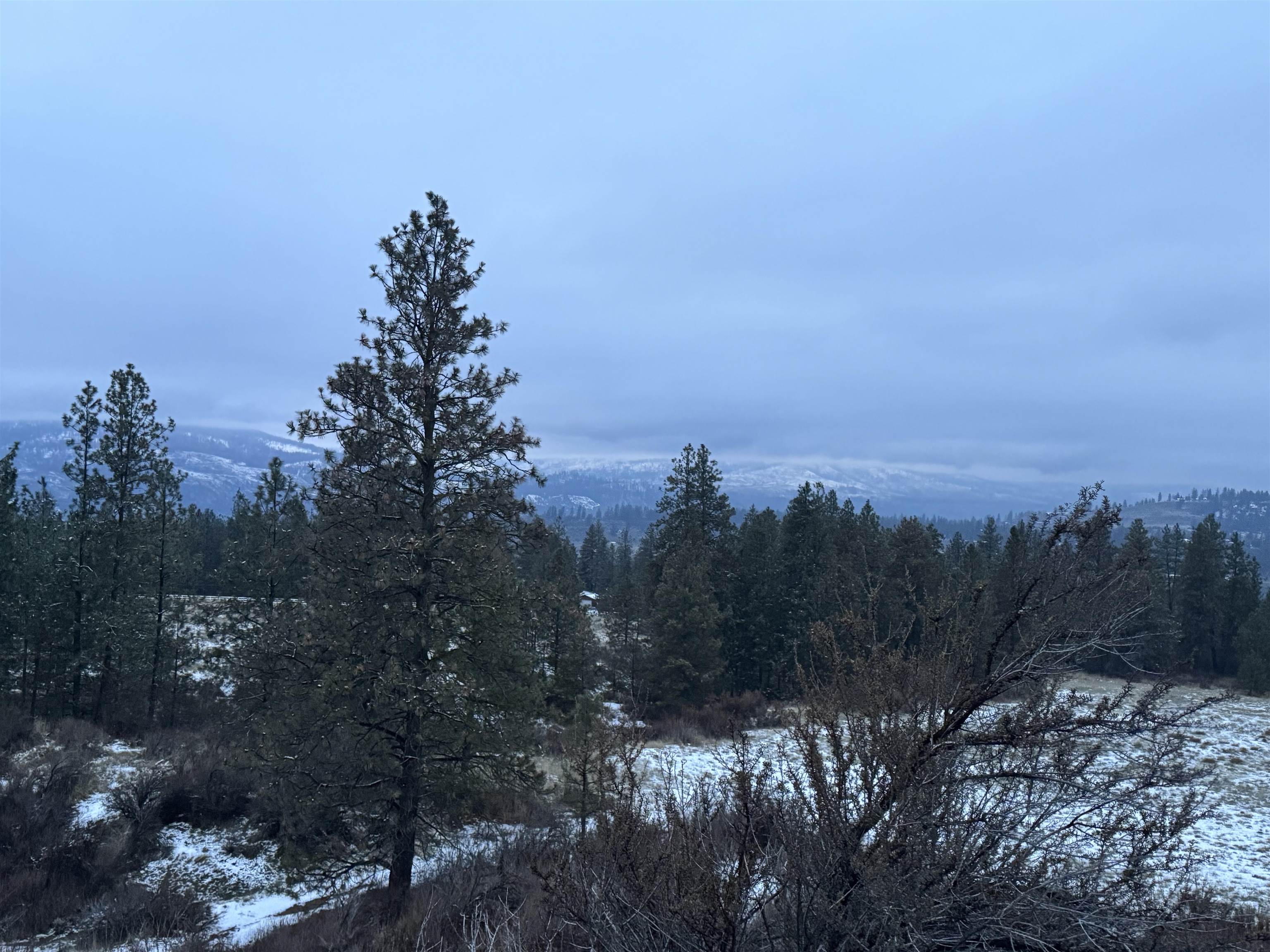 31555 Hume Road Davenport, WA 99122 - Photo 19 of 26