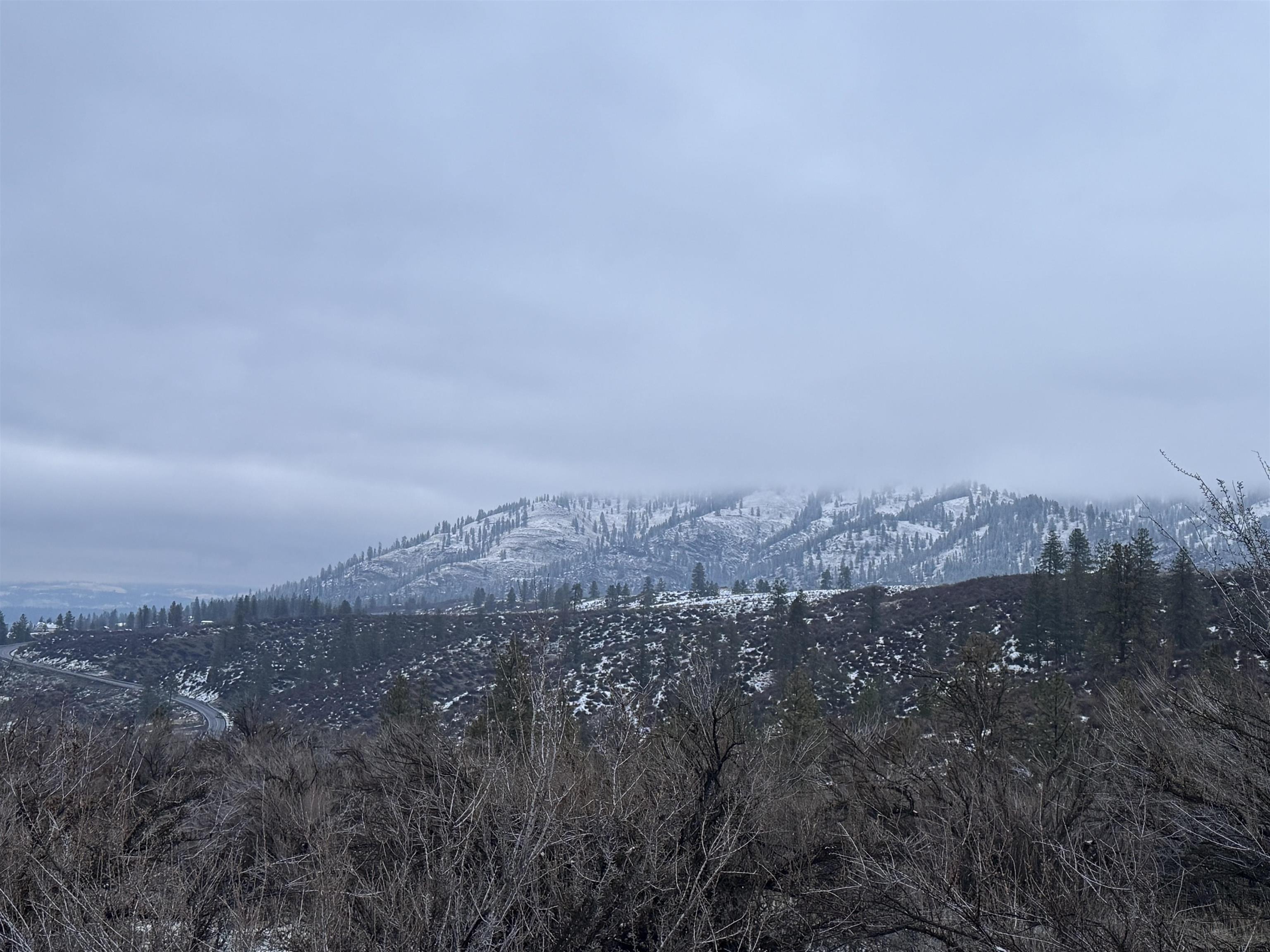 31555 Hume Road Davenport, WA 99122 - Photo 19 of 19