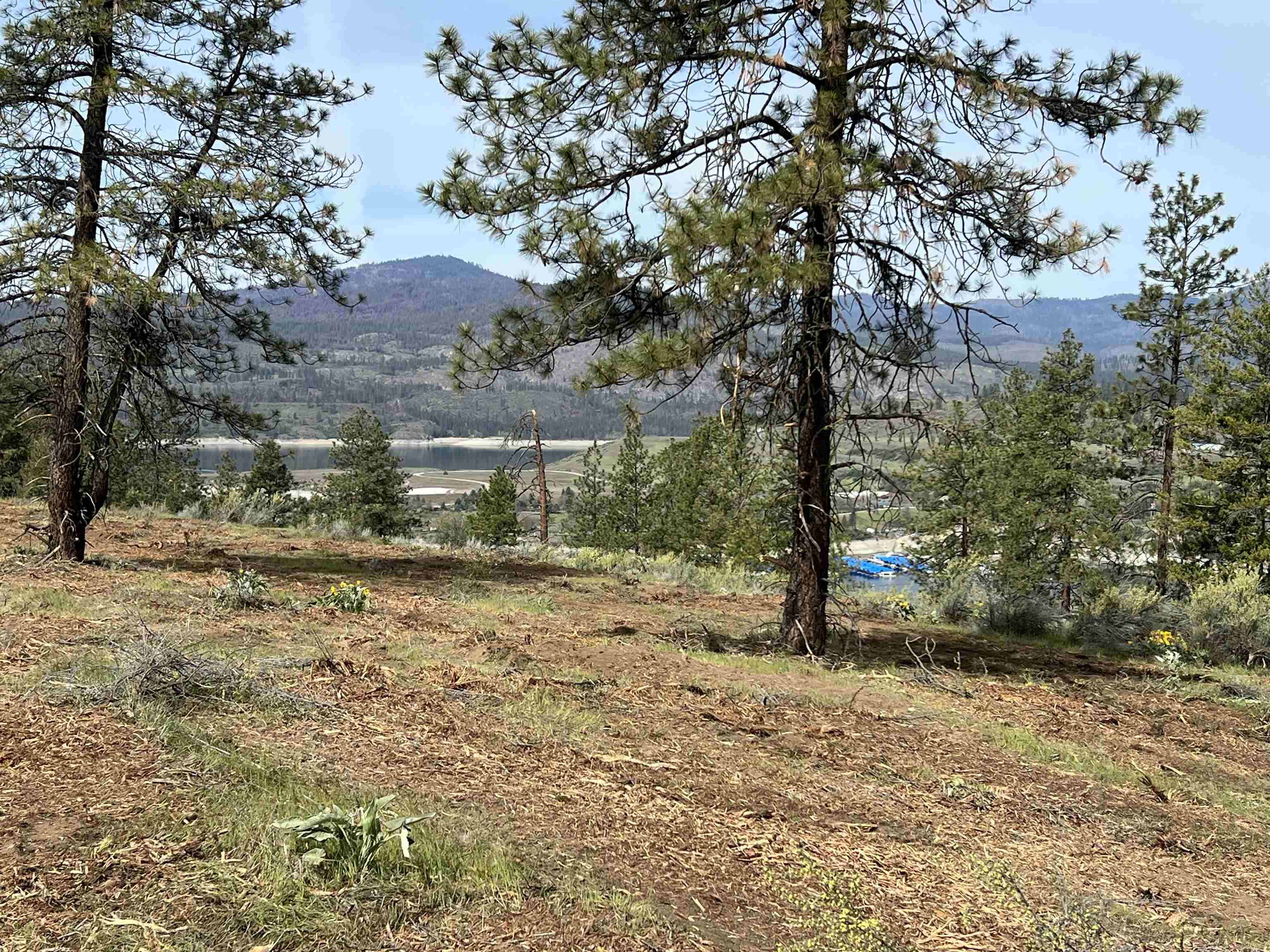 31555 Hume Road Davenport, WA 99122 - Photo 3 of 19