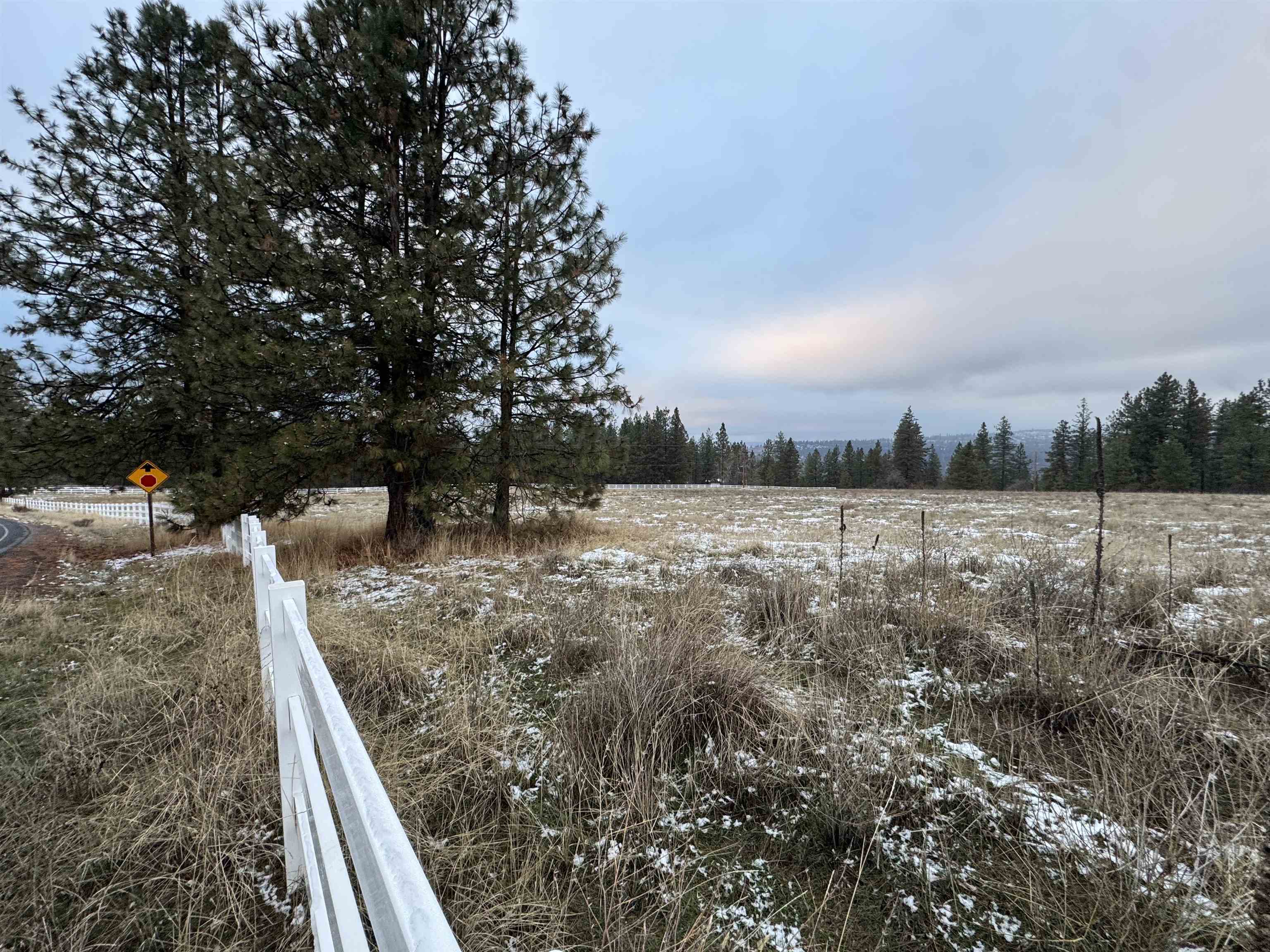 31555 Hume Road Davenport, WA 99122 - Photo 5 of 19