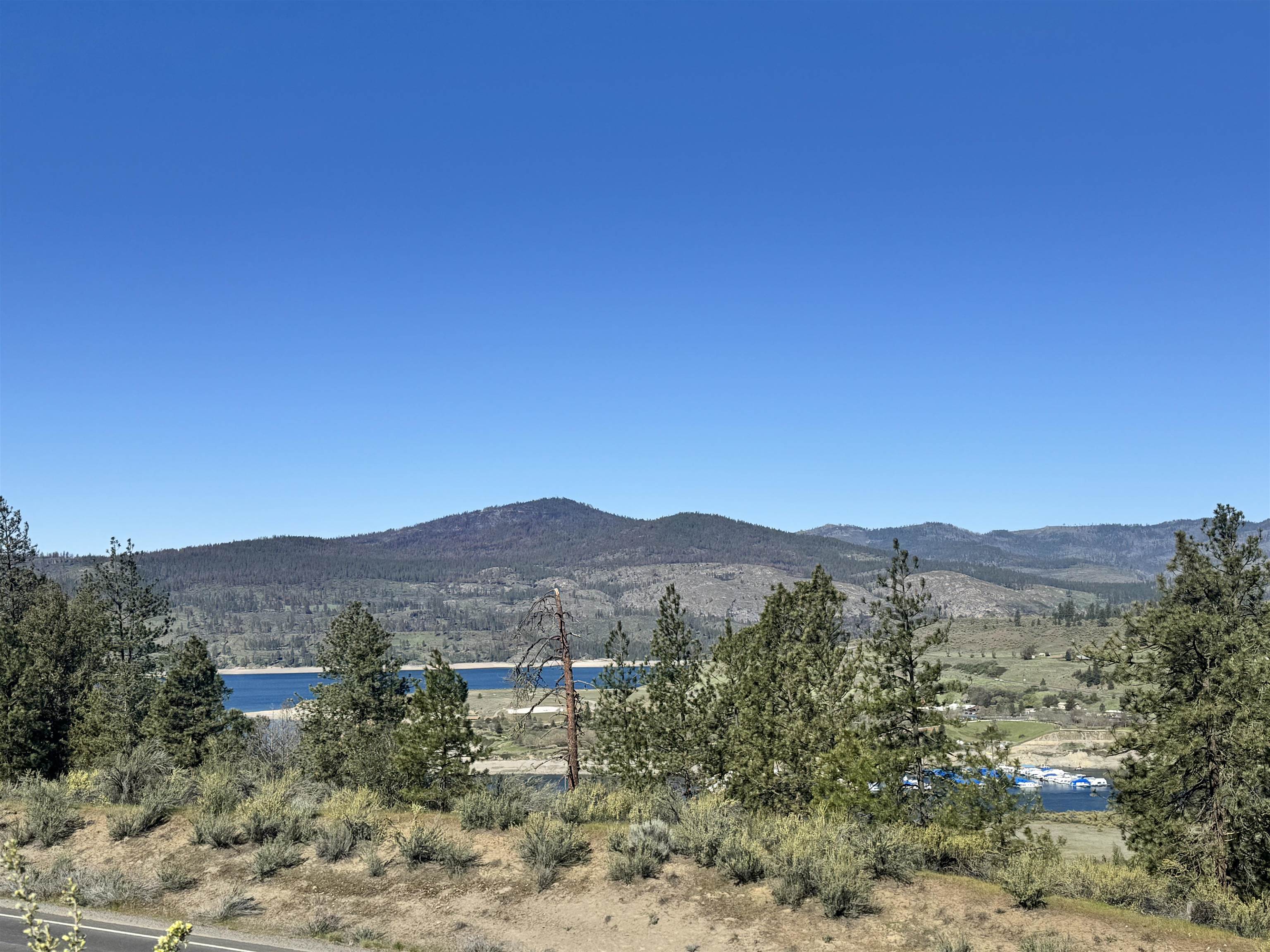 31555 Hume Road Davenport, WA 99122 - Photo 5 of 19