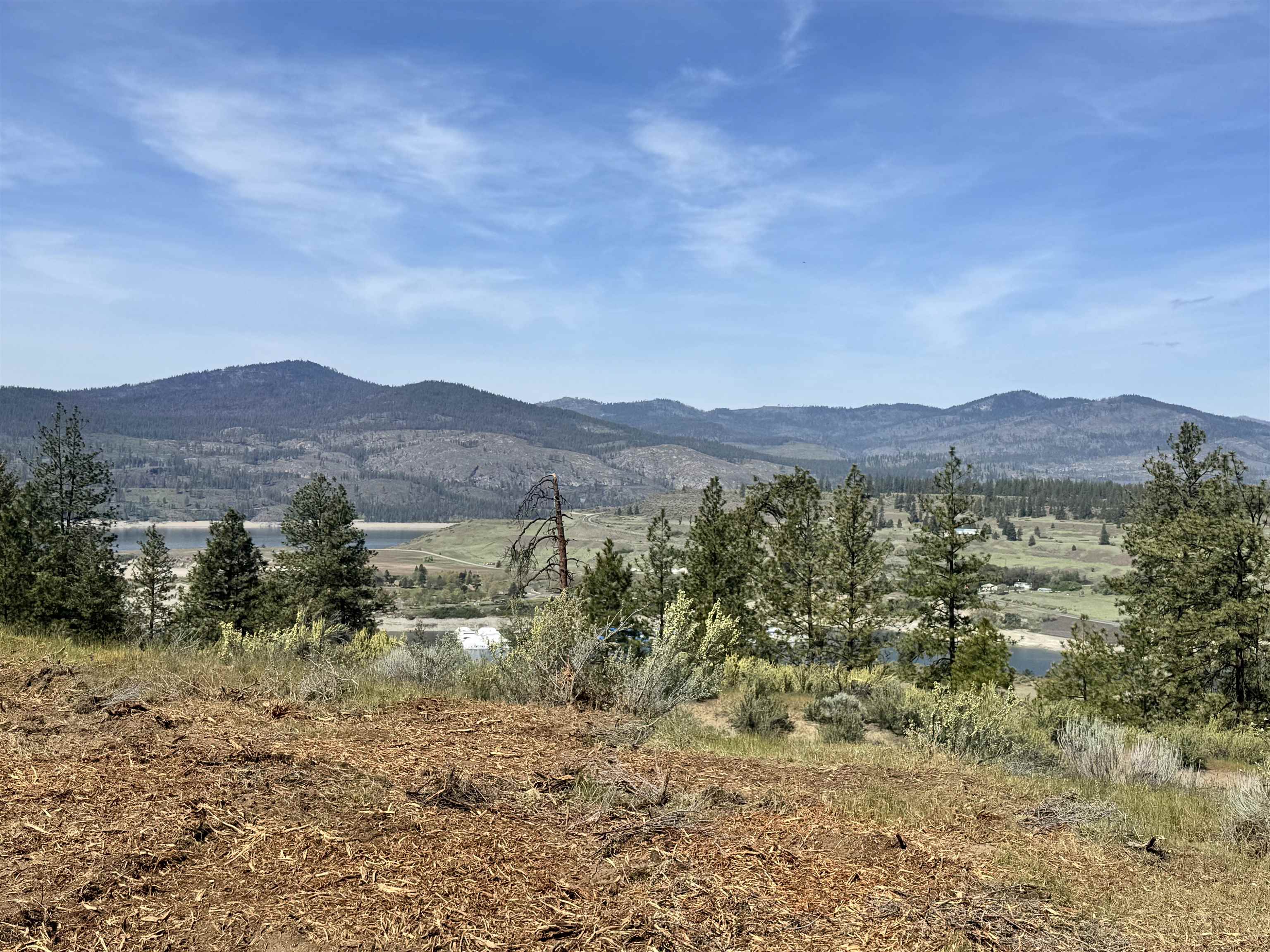 31555 Hume Road Davenport, WA 99122 - Photo 6 of 19