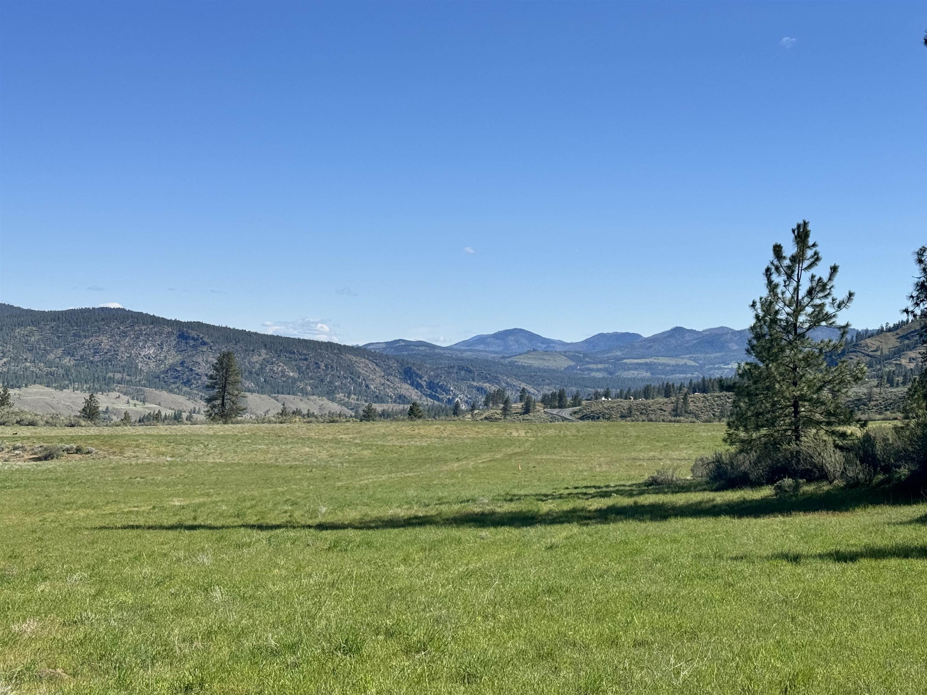 31555 Hume Road Davenport, WA 99122 - Photo 8 of 19