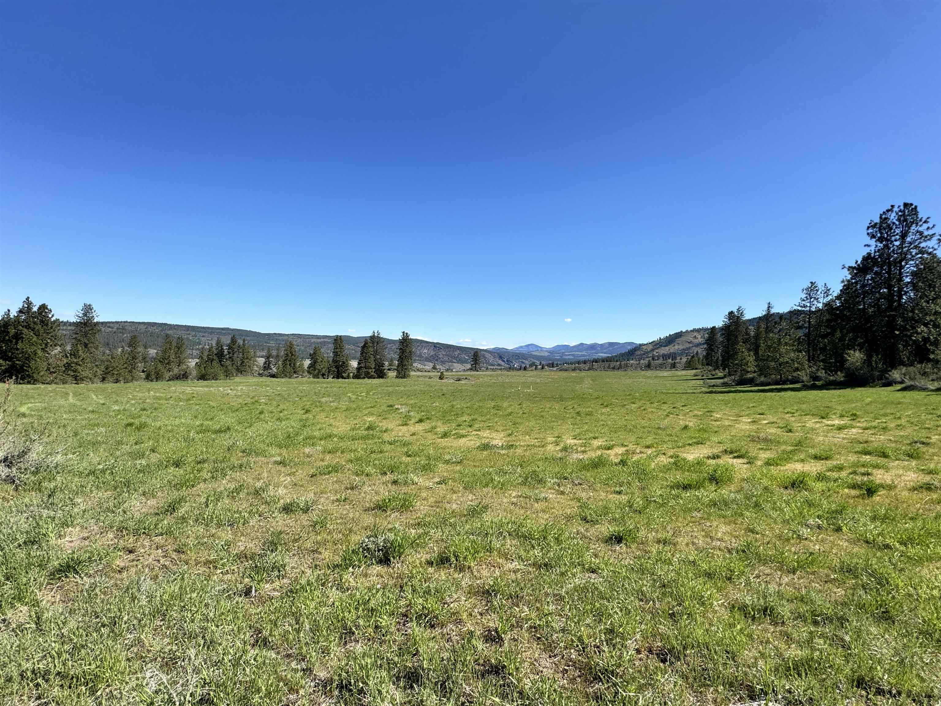 31555 Hume Road Davenport, WA 99122 - Photo 10 of 19