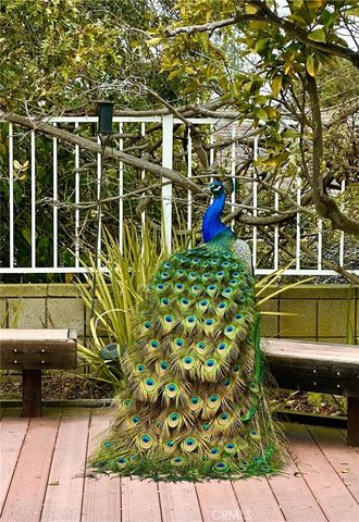 a car parked in front of a building