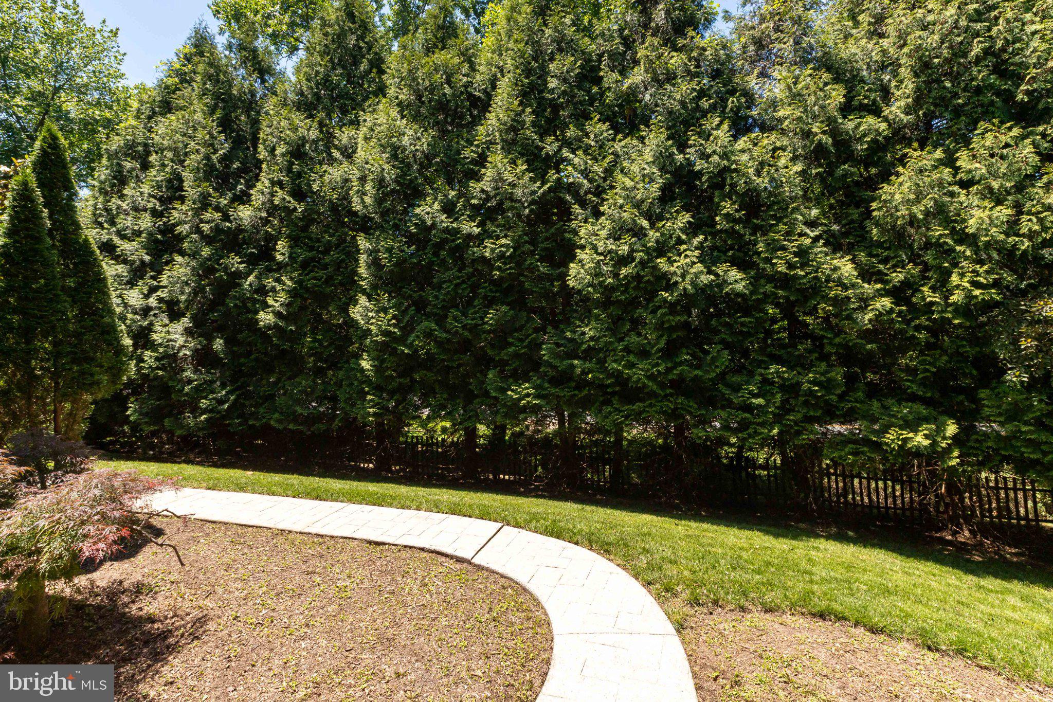 7009 Persimmon Tree Road Bethesda, MD 20817 - Photo 54 of 63 Exterior - Trees Between Home and Road