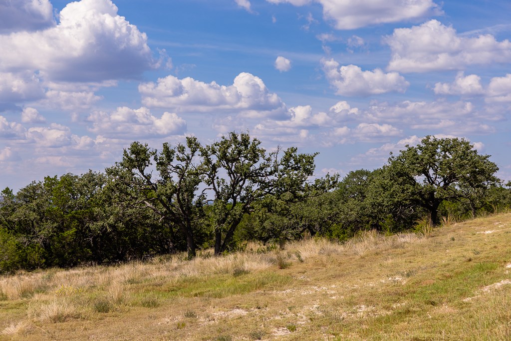 422 Dark Sky Path, Unit 9 Kerrville, TX 78028 - Photo 17 of 37 a view of a yard with a house