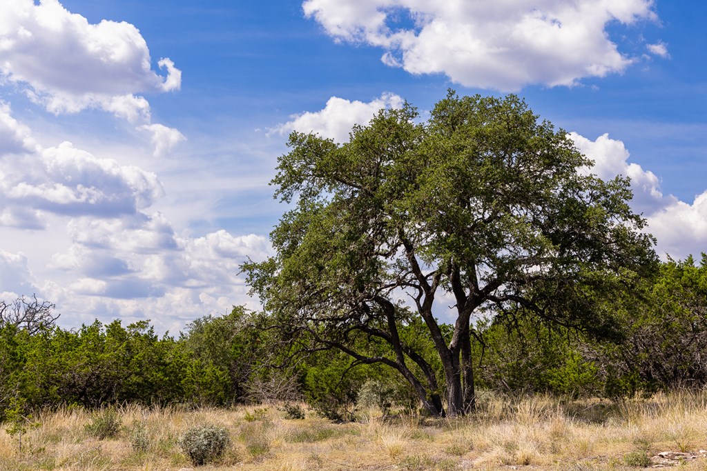 422 Dark Sky Path, Unit 9 Kerrville, TX 78028 - Photo 18 of 37 a view of a lake with lots of trees