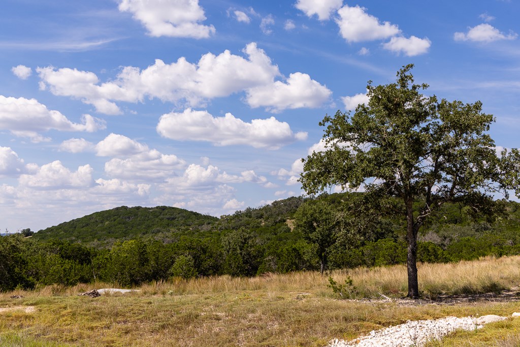 422 Dark Sky Path, Unit 9 Kerrville, TX 78028 - Photo 19 of 37 a view of a yard