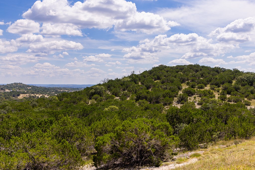 422 Dark Sky Path, Unit 9 Kerrville, TX 78028 - Photo 5 of 37 a view of a bunch of trees