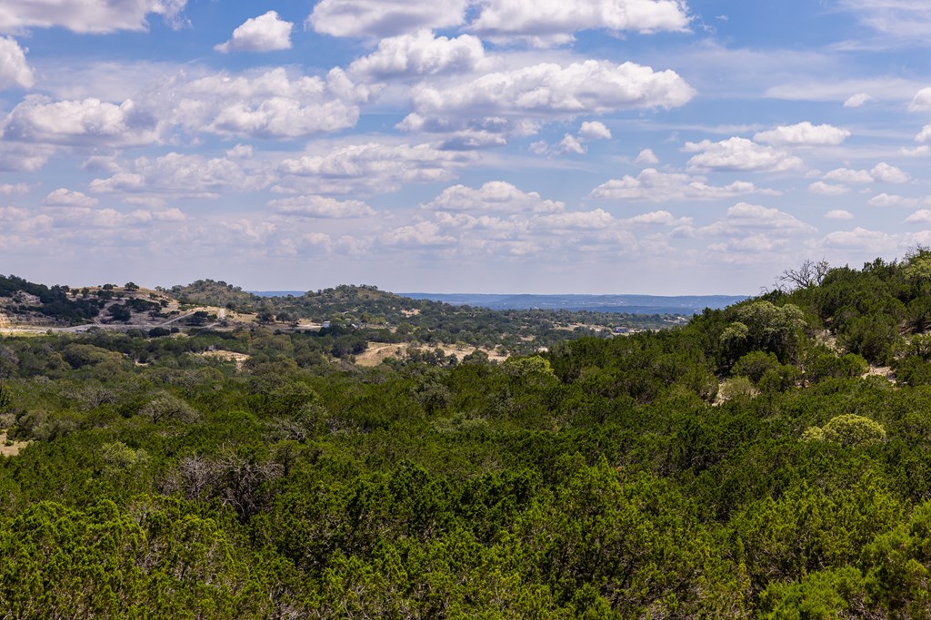 422 Dark Sky Path, Unit 9 Kerrville, TX 78028 - Photo 7 of 37 a view of a city with lush green forest