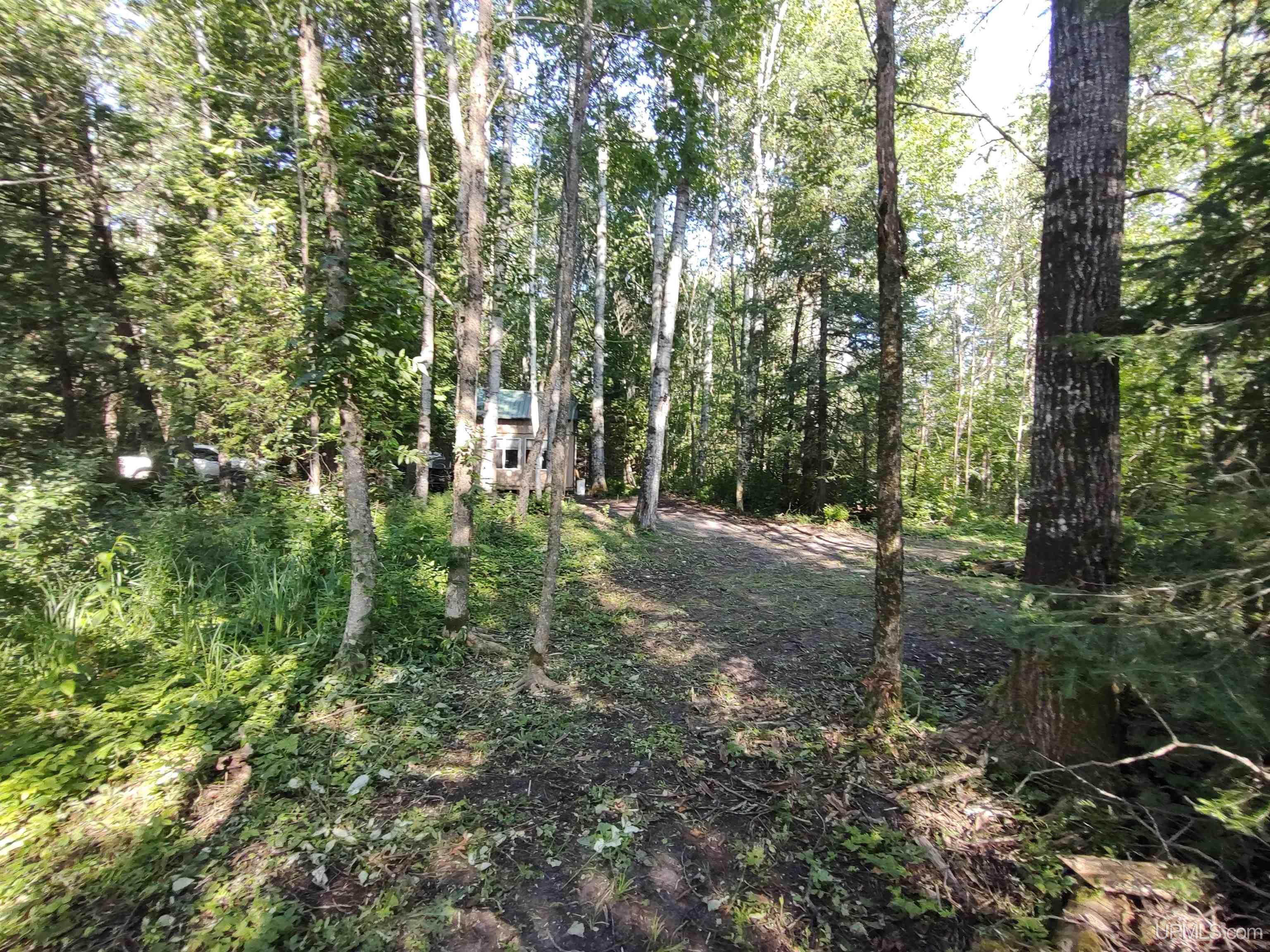 387 Rd Mcmillan Mi 49853 Road Newberry, MI 49868 - Photo 51 of 78