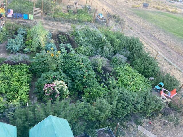 19205 Shoshone Road Bend, OR 97702 - Photo 44 of 47 Garden during last falls harvest.