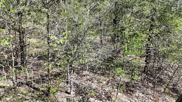 $2,000 | Lot #20 Oak Lane, Shell Knob, MO 65747