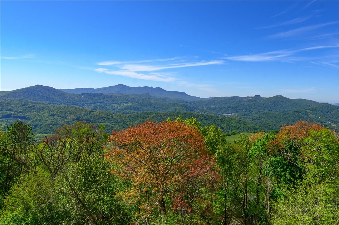 510 Elderberry Ridge Road, Unit F201 Beech Mountain, NC 28604 - Photo 3 of 25