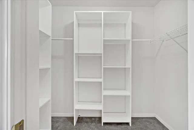 a view of an empty walk in closet