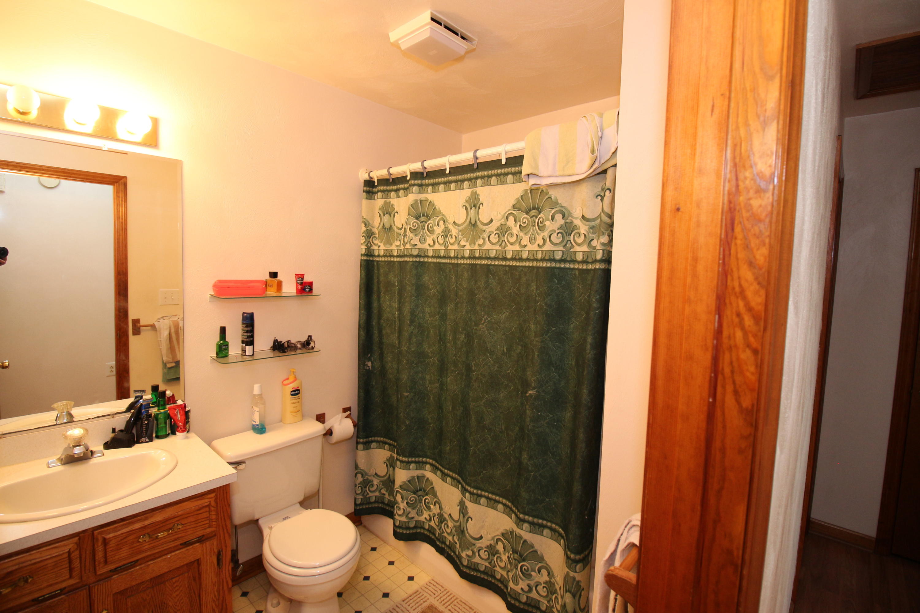 2785 Quarles Road Thaxton, VA 24174 - Photo 14 of 37 a bathroom with a sink a toilet and shower