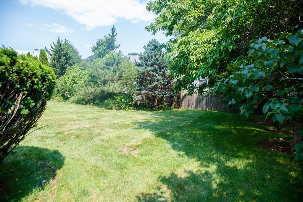 20 Bellmore Road Framingham, MA 01702 - Photo 20 of 23 Gallery Image 20