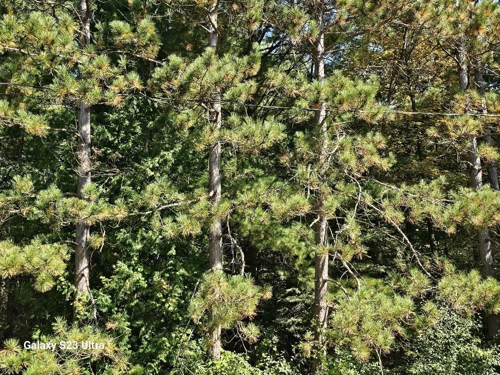 30 & Rivers Road Gladwin, MI 48624 - Photo 6 of 6
