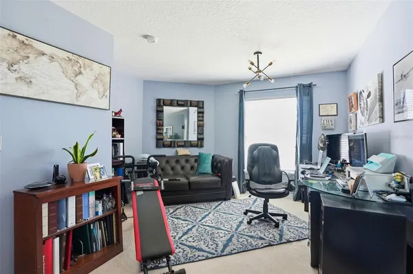 a view of a yard with plants