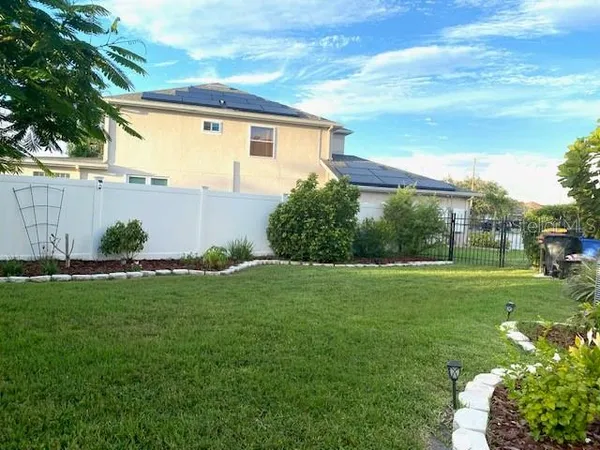 a view of a backyard with plants and a big yard