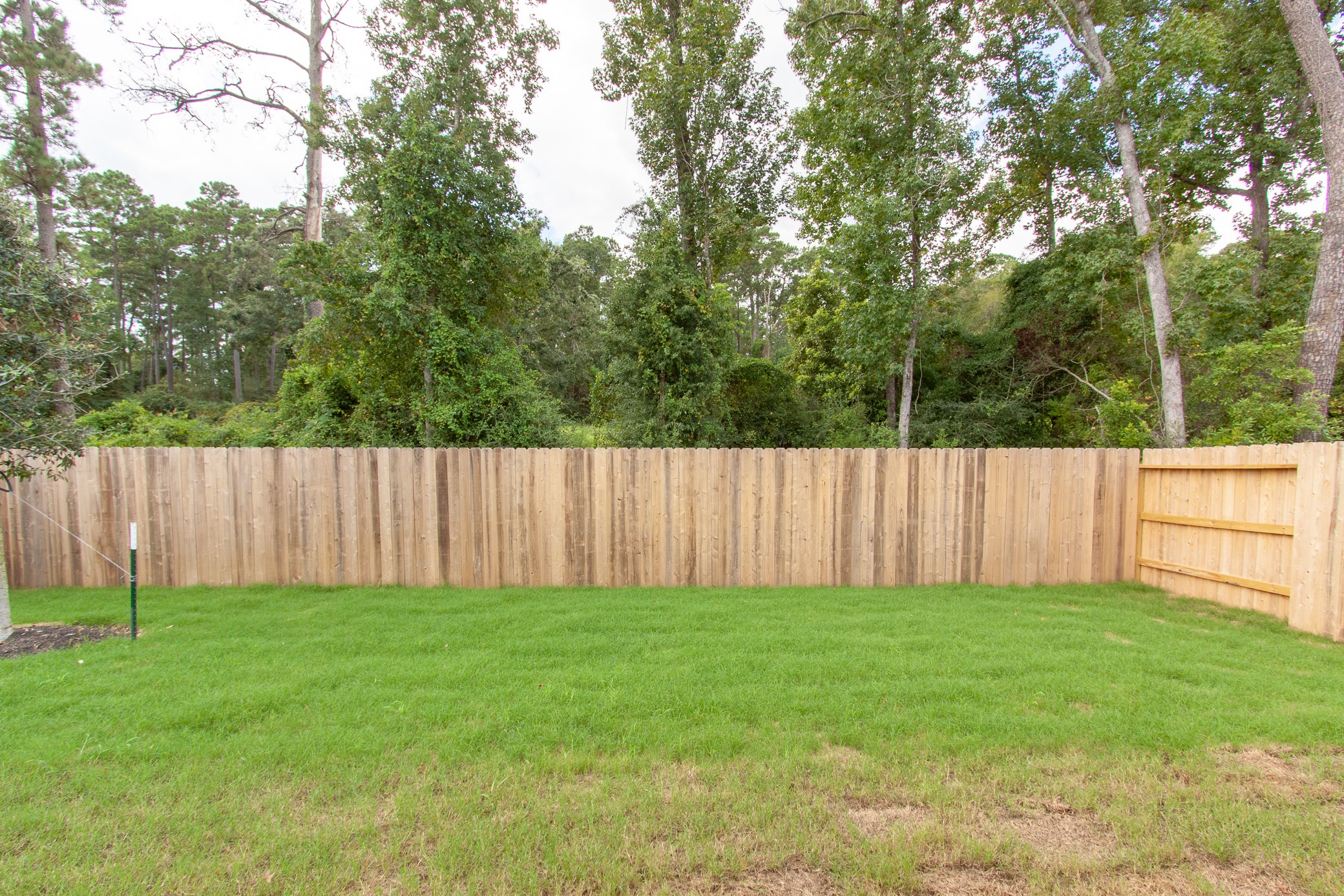 2011 Parnevik Place Conroe, TX 77304 - Photo 37 of 37 A view of the beautiful backyard.