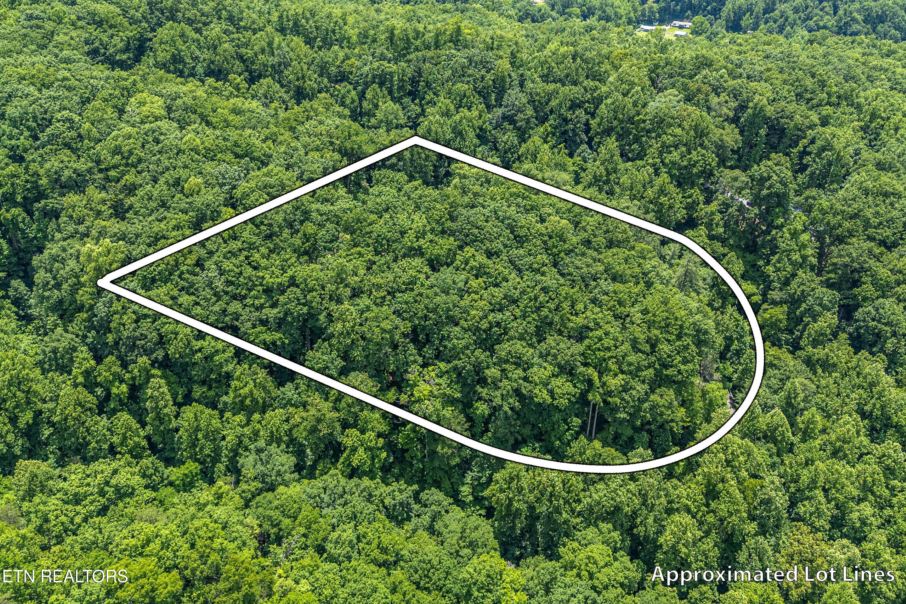 229 Sonshine Ridge Road Cosby, TN 37722 - Photo 14 of 22 13-1st Lot A3