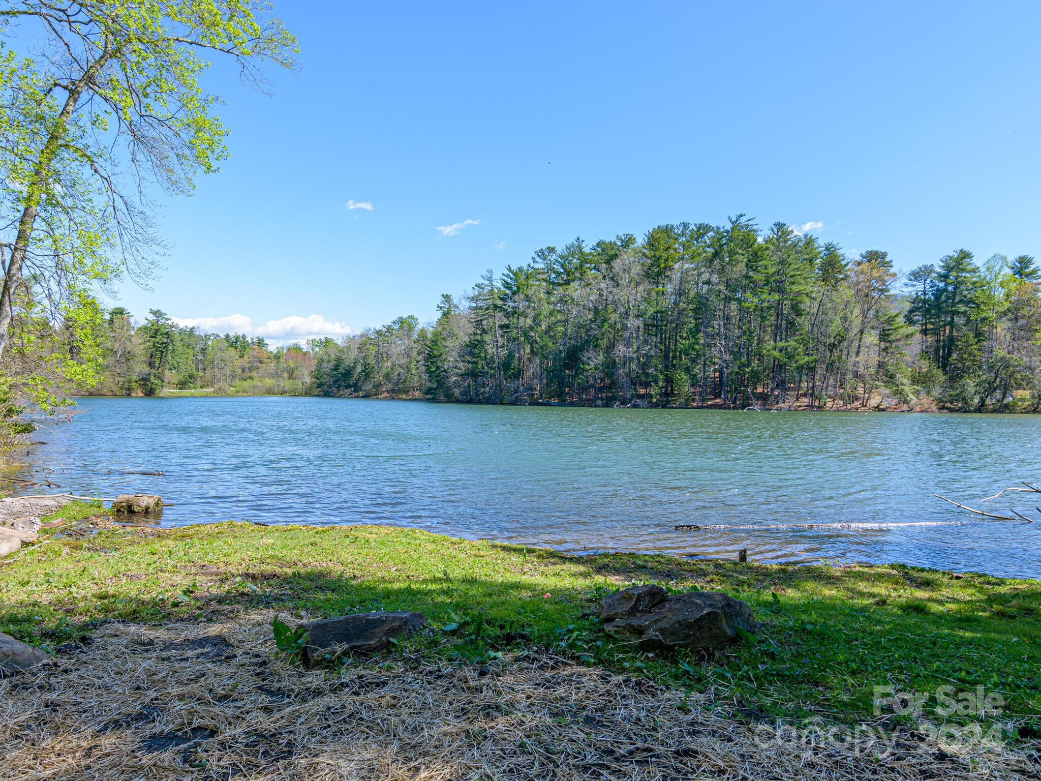 25 Old Heywood Road Arden, NC 28704 - Photo 2 of 48 Gallery Image 2