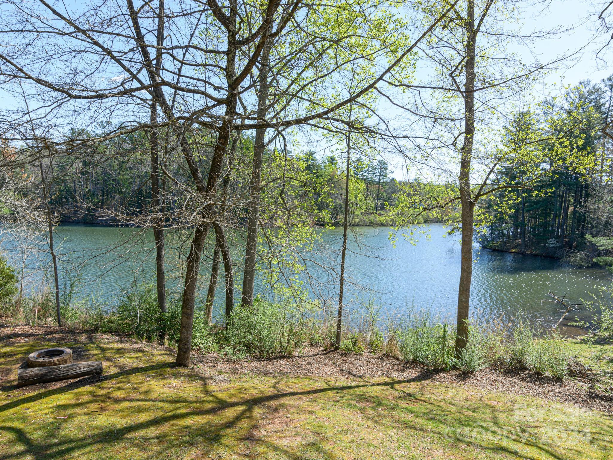 25 Old Heywood Road Arden, NC 28704 - Photo 3 of 48 Gallery Image 3