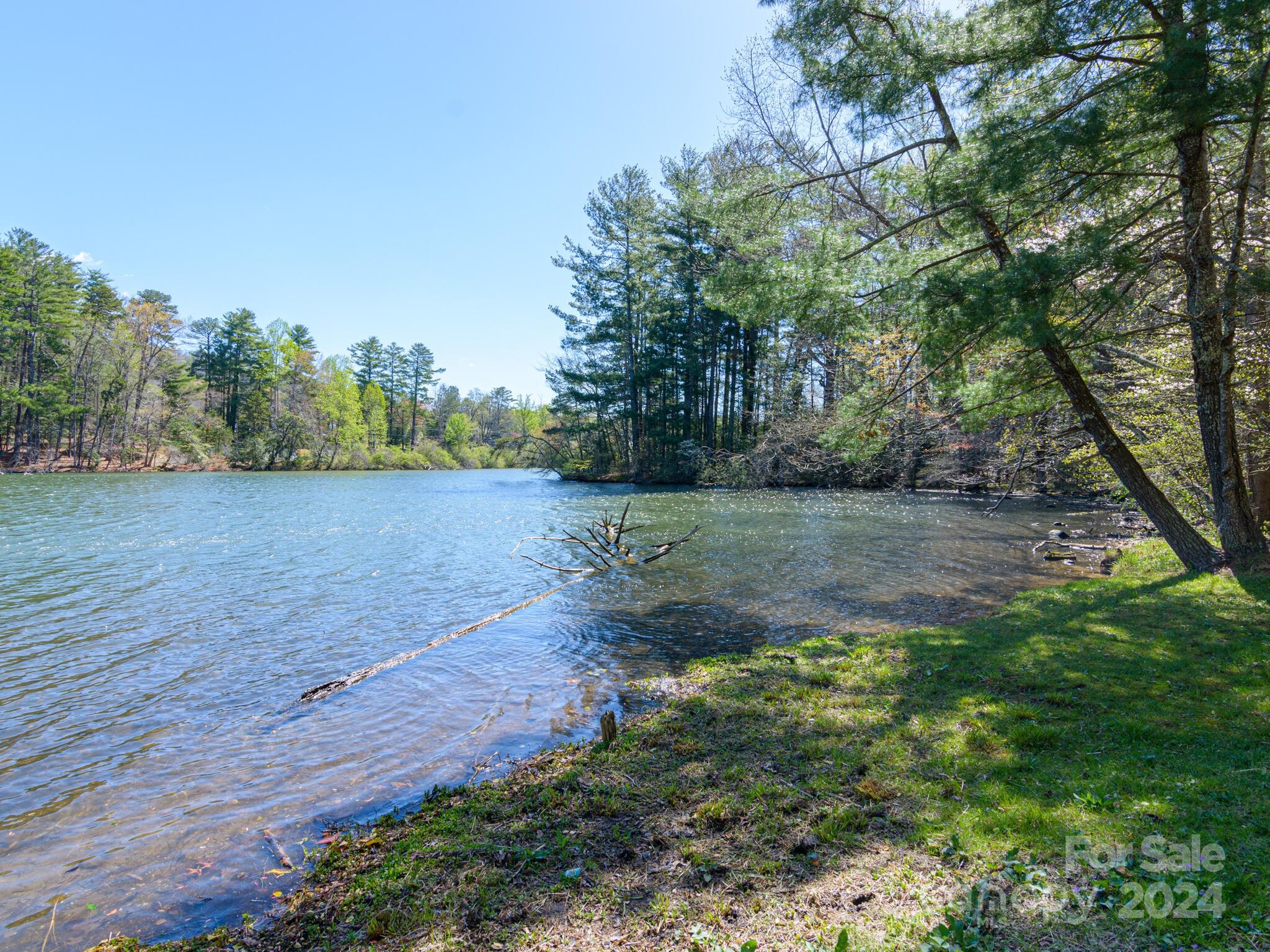 25 Old Heywood Road Arden, NC 28704 - Photo 48 of 48 Gallery Image 48
