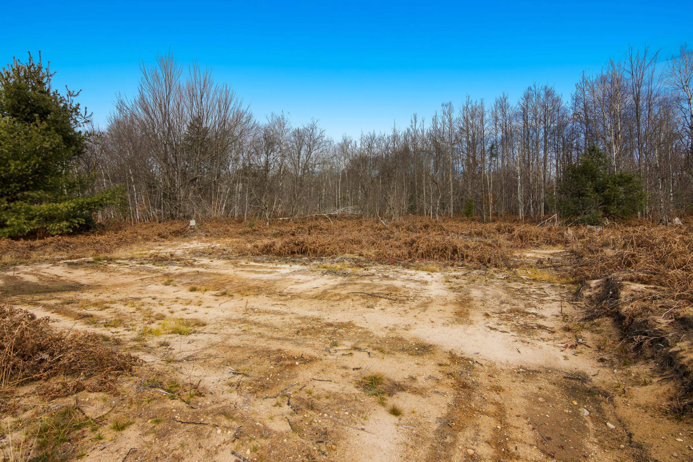 11095 Pleasant Ridge Road, Unit LOT: 825 Elmira, MI 49730 - Photo 14 of 18