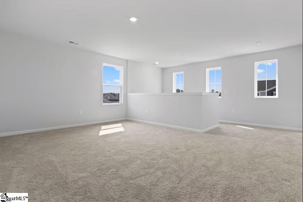 210 Green Pasture Road Fountain Inn, SC 29644 - Photo 9 of 20