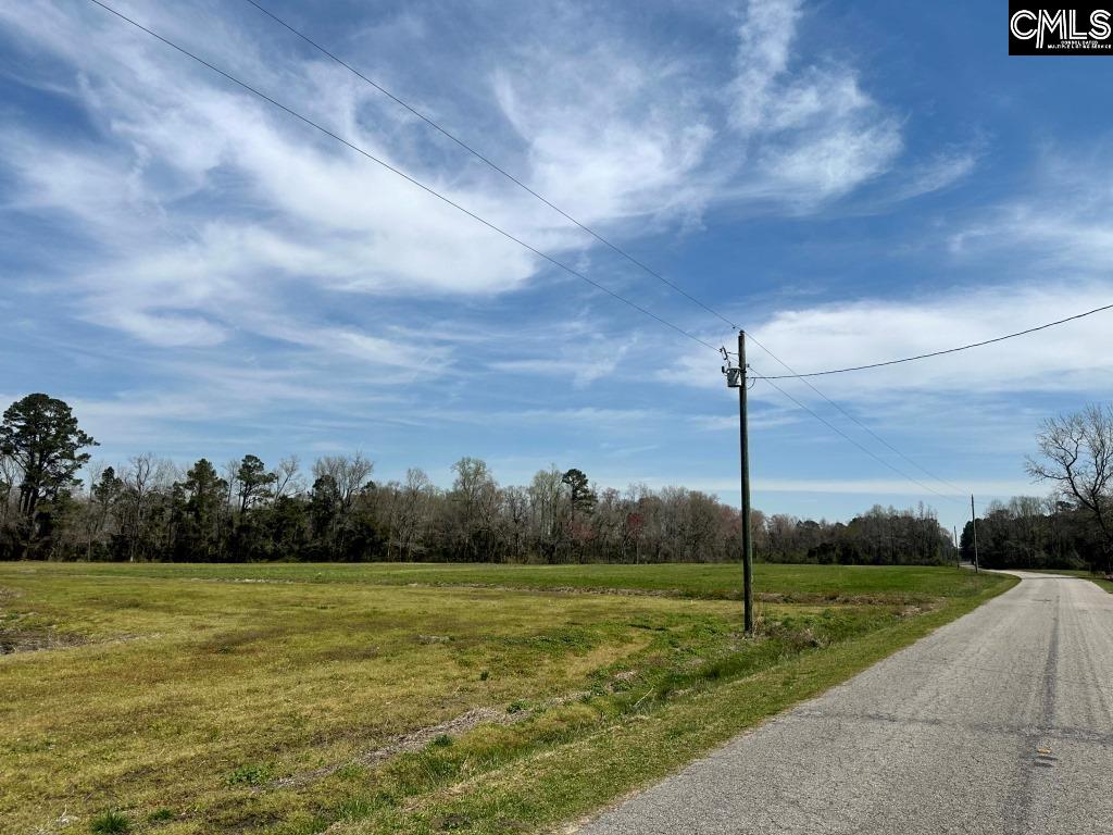 Pleasant Grove Road Loris, SC 29569 - Photo 11 of 13