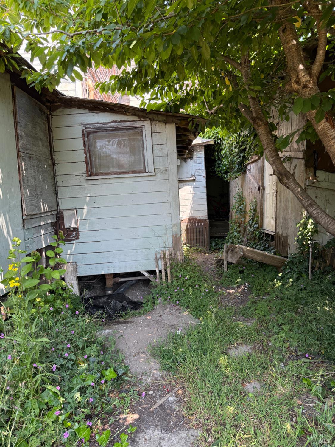 24900 Highway 1 Point Arena, CA 95468 - Photo 14 of 20 a view of a back yard of the house
