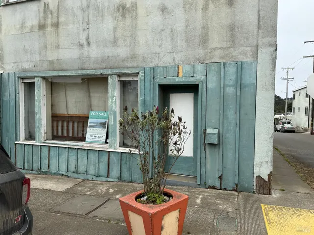 a front view of a house with plants