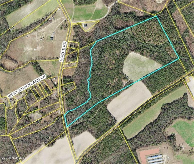 0 Hobbs Road Roseboro, NC 28382 - Photo 1 of 27 Hobbs Rd 66 acre tract