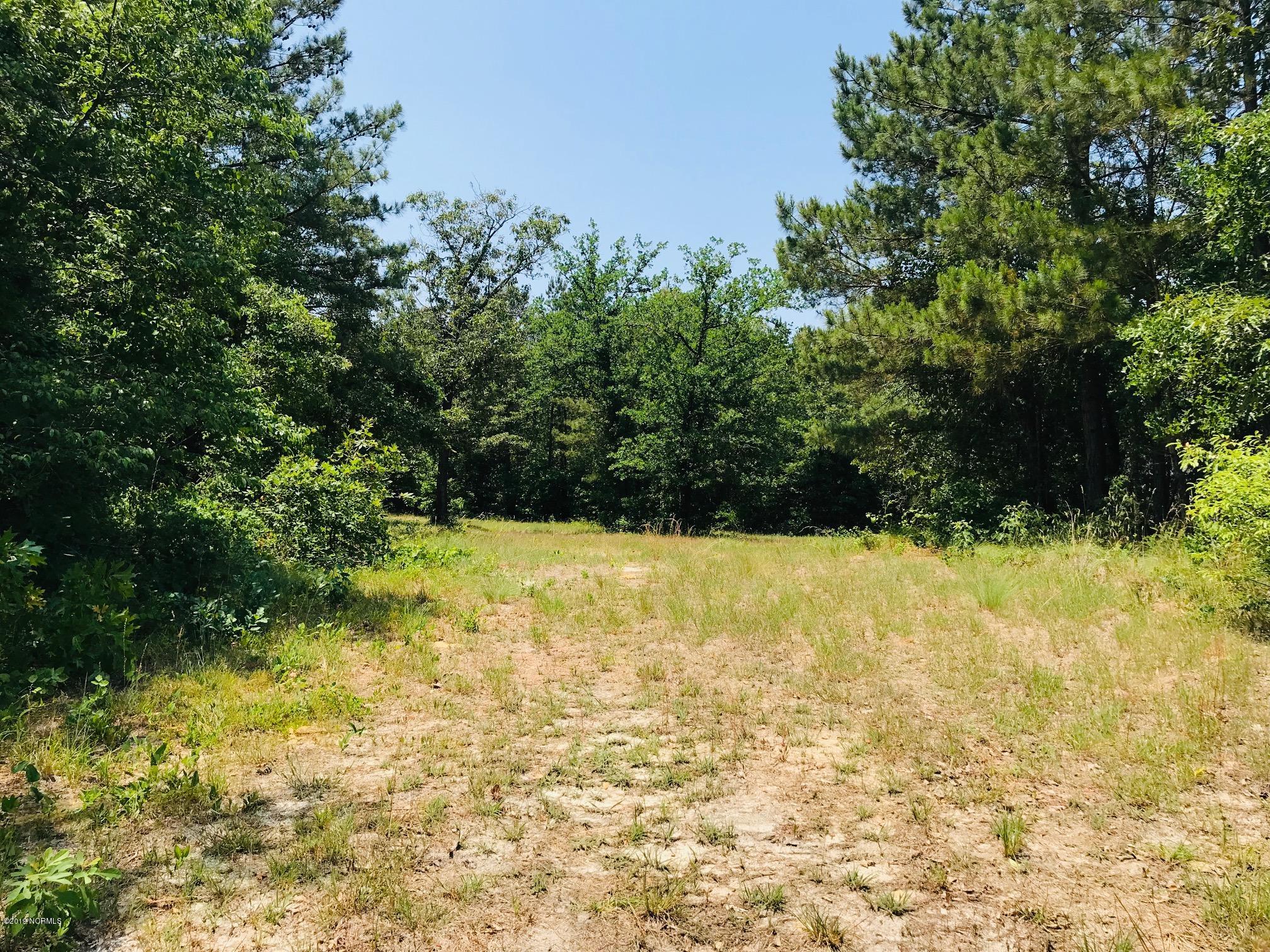 0 Hobbs Road Roseboro, NC 28382 - Photo 21 of 27 IMG_5819